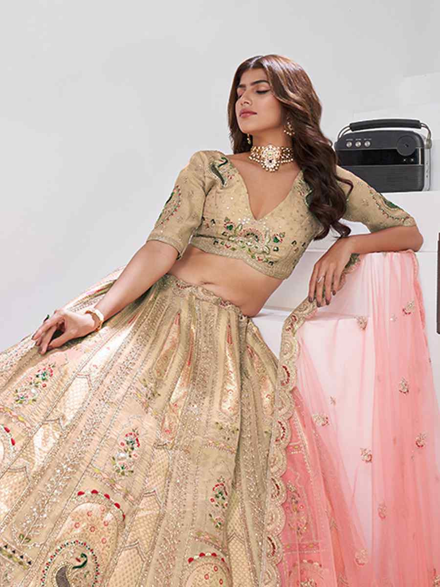 Chiku Banarsi Silk Embroidered Wedding Reception Festival Heavy Border Lehenga Choli