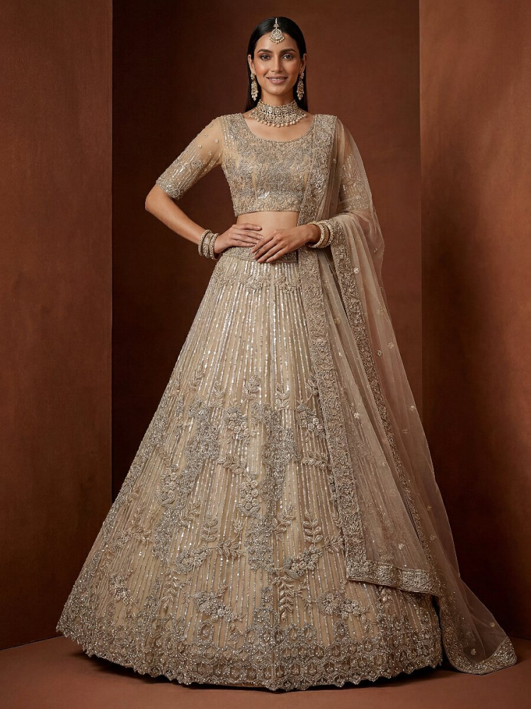 Image of Chiku Net Embroidery Sequins Wedding Reception Party Festival Heavy Border Lehenga Choli