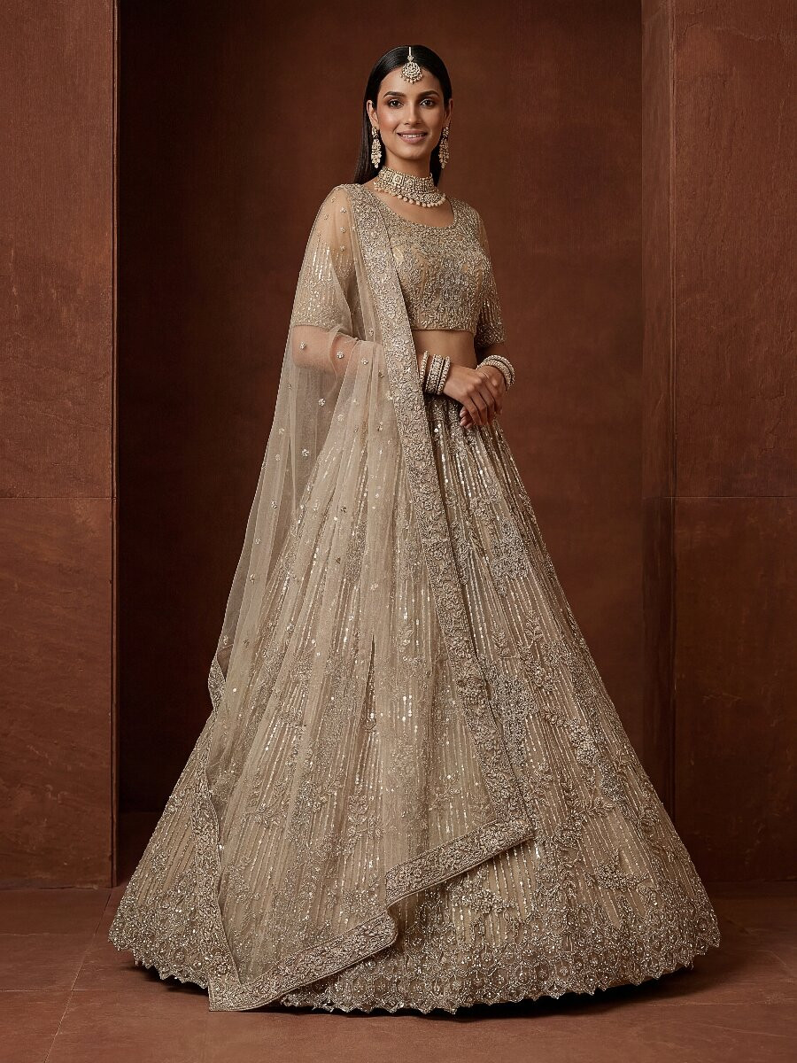 Chiku Net Embroidery Sequins Wedding Reception Party Festival Heavy Border Lehenga Choli