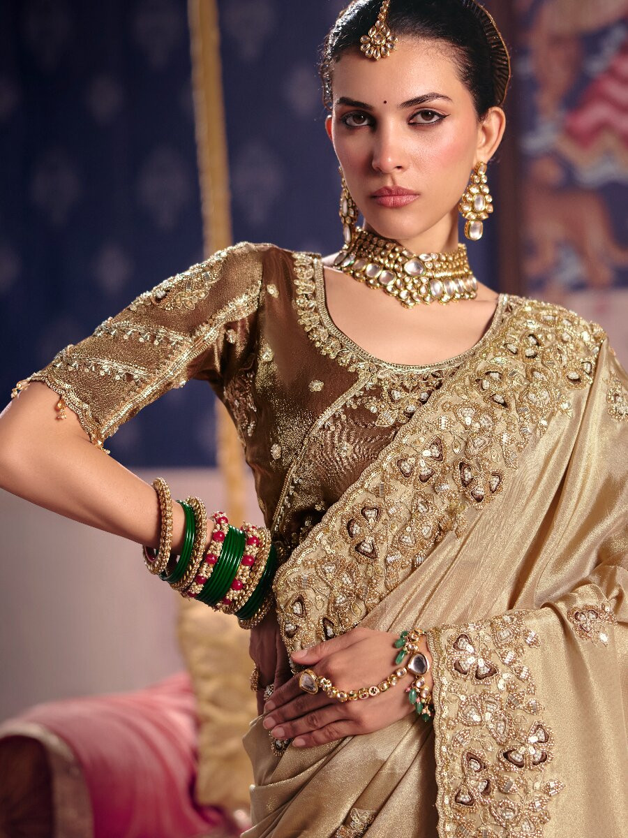 Chiku Tissue Silk Embroidery Sequins Zari Wedding Party Festival Casual Heavy Border Sarees