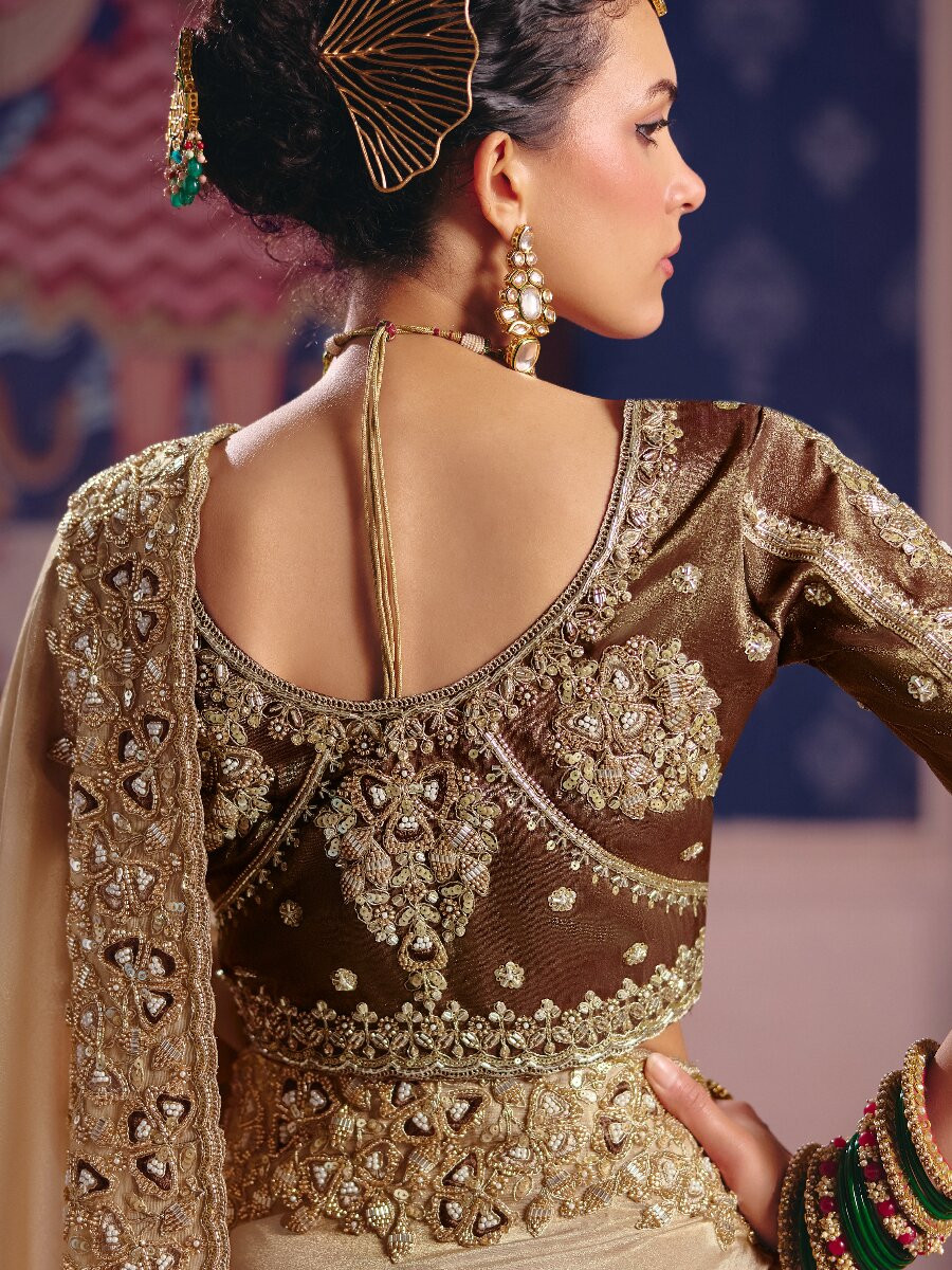 Chiku Tissue Silk Embroidery Sequins Zari Wedding Party Festival Casual Heavy Border Sarees