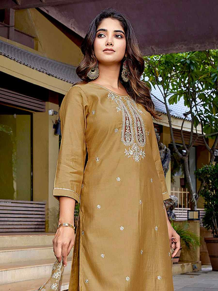 Chiku Viscose Chanderi Embroidery Party Wedding Festival Casual Ready Pant Salwar Kameez
