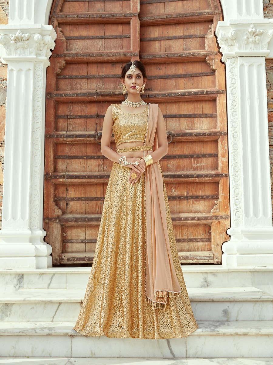 Beige Soft Net Embroidered Bridal Lehenga Choli