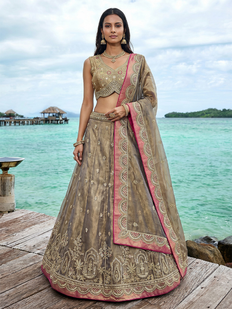 Image of Coffee Tissue Embroidery Wedding Reception Party Festival Heavy Border Lehenga Choli