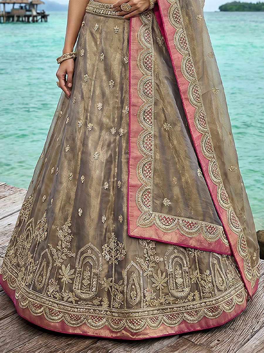 Coffee Tissue Embroidery Wedding Reception Party Festival Heavy Border Lehenga Choli