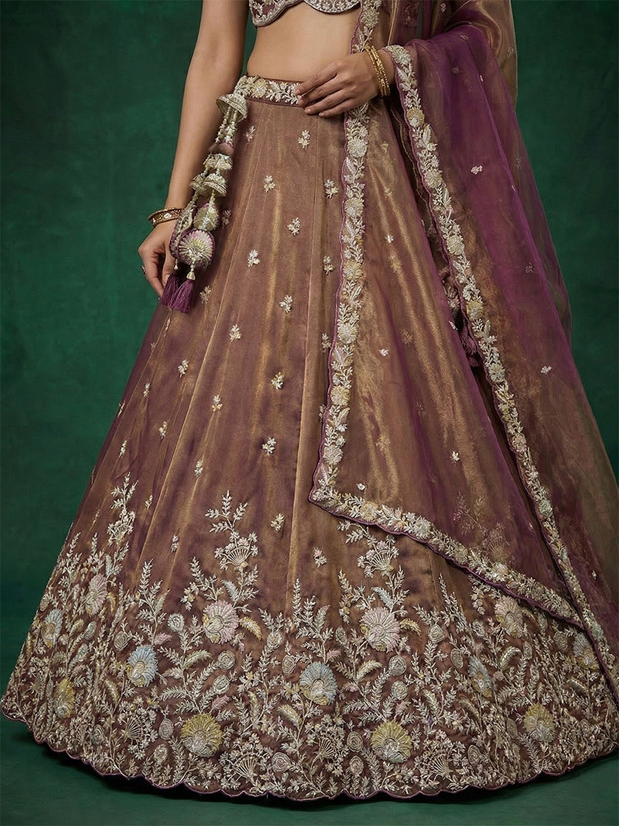 Copper Brown Tissue Embroidery Wedding Reception Party Festival Heavy Border Lehenga Choli