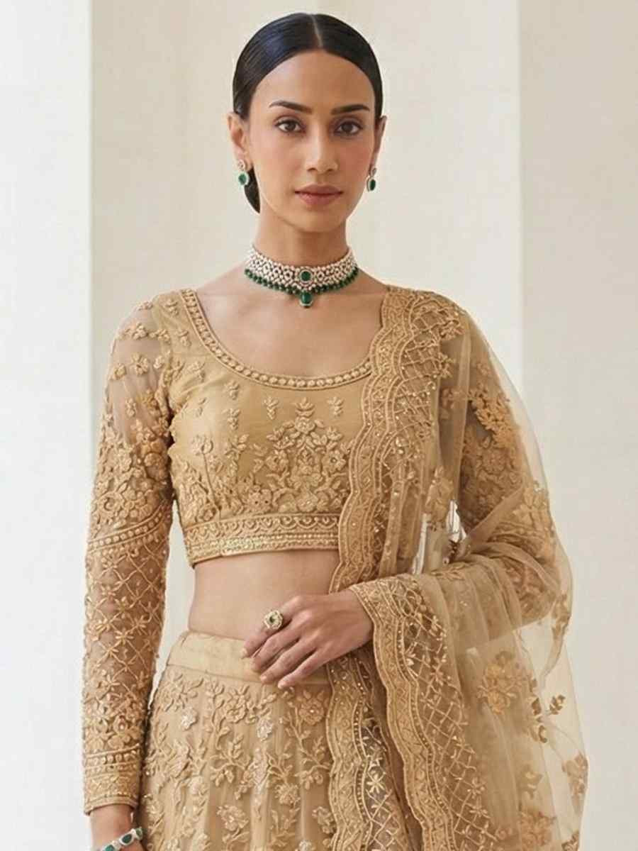 Cream Butterfly Net Embroidery Bridal Wedding Reception Festival Heavy Border Lehenga Choli