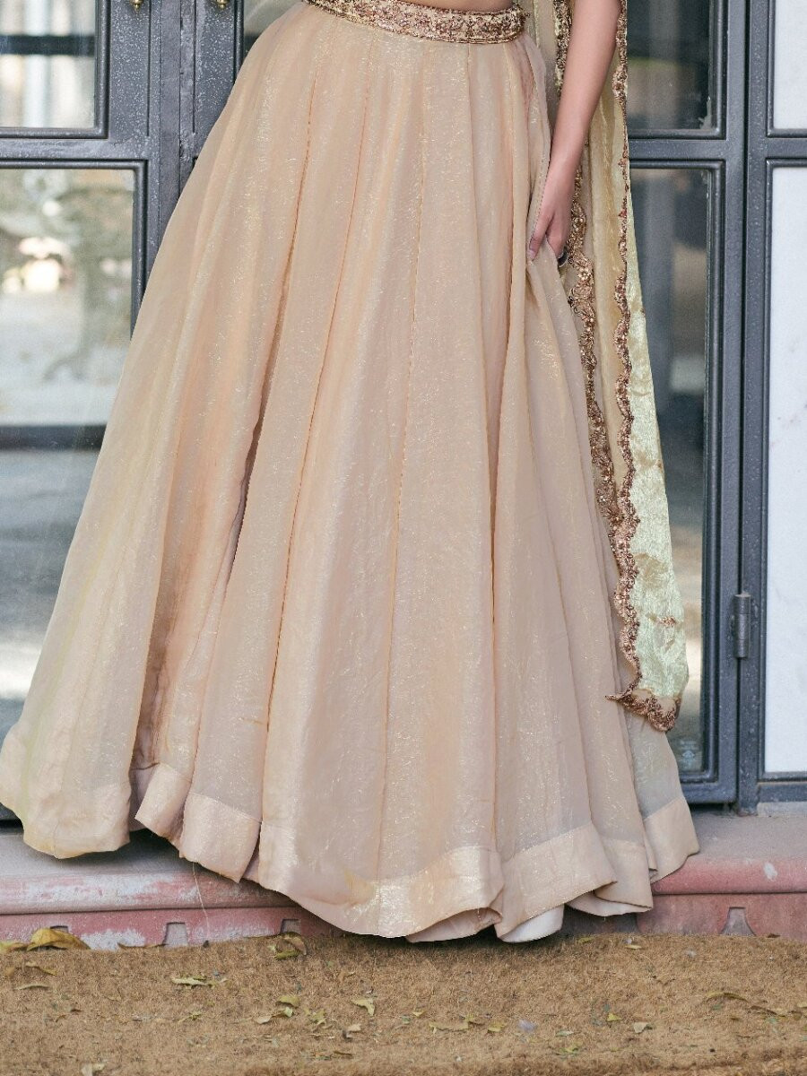 Cream Fendi Silk Thread Embroidery Sequins Wedding Reception Party Festival Circular Lehenga Choli