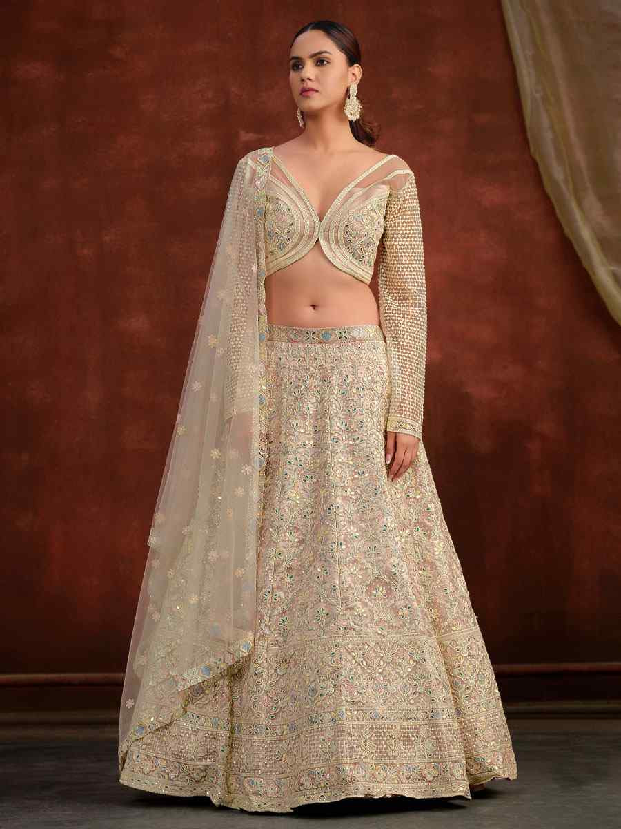 Cream Heavy Net With Banglory Silk Inner Embroidered Printed Wedding Reception Festival Heavy Border Lehenga Choli