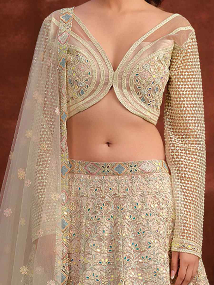 Cream Heavy Net With Banglory Silk Inner Embroidered Printed Wedding Reception Festival Heavy Border Lehenga Choli