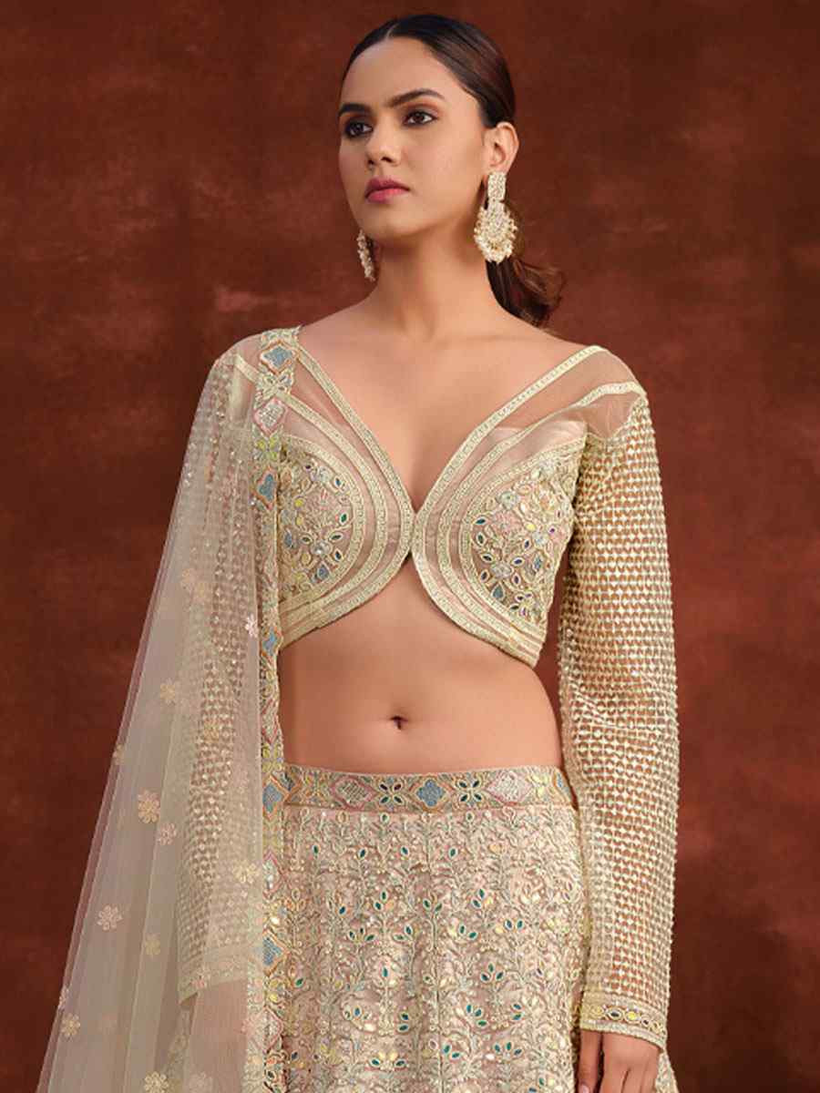 Cream Heavy Net With Banglory Silk Inner Embroidered Printed Wedding Reception Festival Heavy Border Lehenga Choli