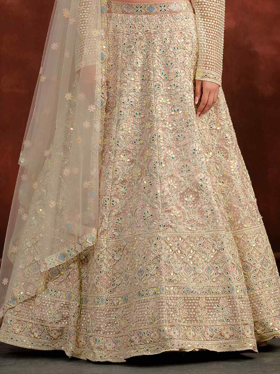Cream Heavy Net With Banglory Silk Inner Embroidered Printed Wedding Reception Festival Heavy Border Lehenga Choli