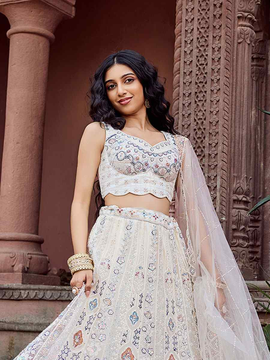 Cream Net Embroidered Wedding Reception Festival Heavy Border Lehenga Choli