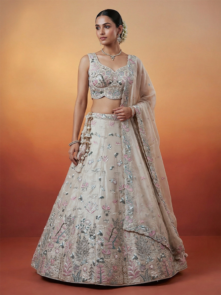Image of Cream Organza Embroidery Wedding Reception Party Festival Heavy Border Lehenga Choli