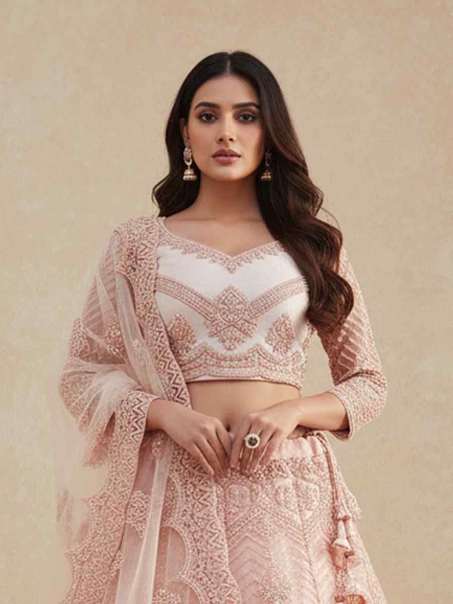Cream Peach Net Embroidered Wedding Reception Festival Heavy Border Lehenga Choli