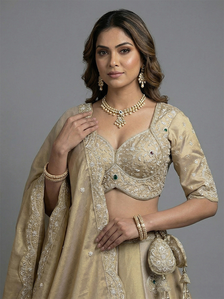 Cream Silk Tissue Embroidery Wedding Reception Party Festival Heavy Border Lehenga Choli