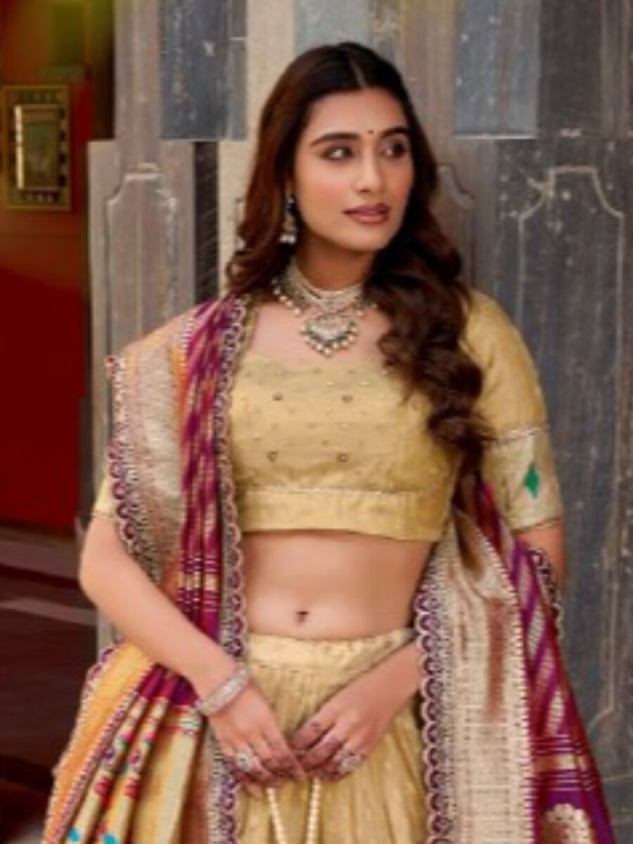 Cream Simmer Organza Zari Sequins Wedding Party Festival Circular Lehenga Choli