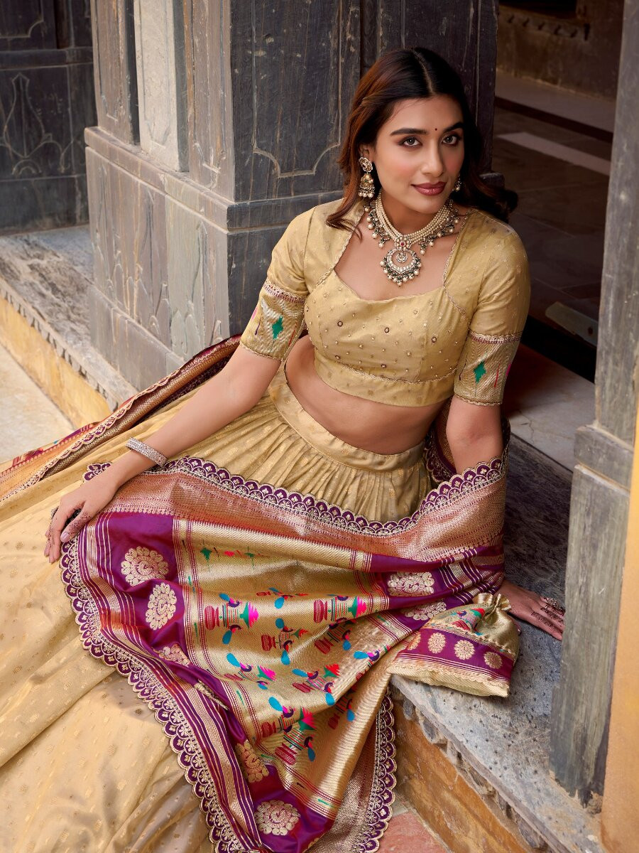 Cream Simmer Organza Zari Sequins Wedding Party Festival Circular Lehenga Choli