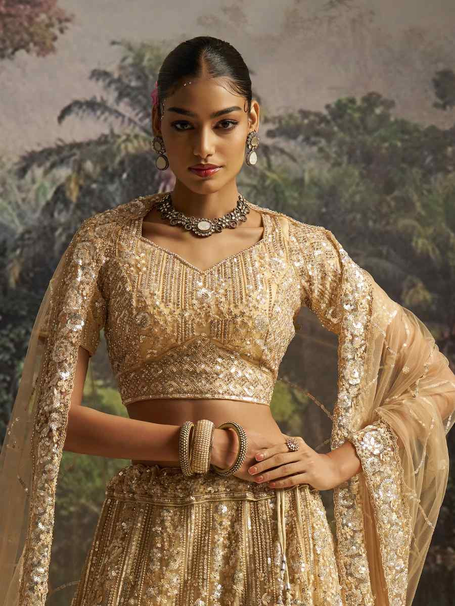 Cream Soft Net Embroidered Festival Wedding Party Reception Heavy Border Lehenga Choli