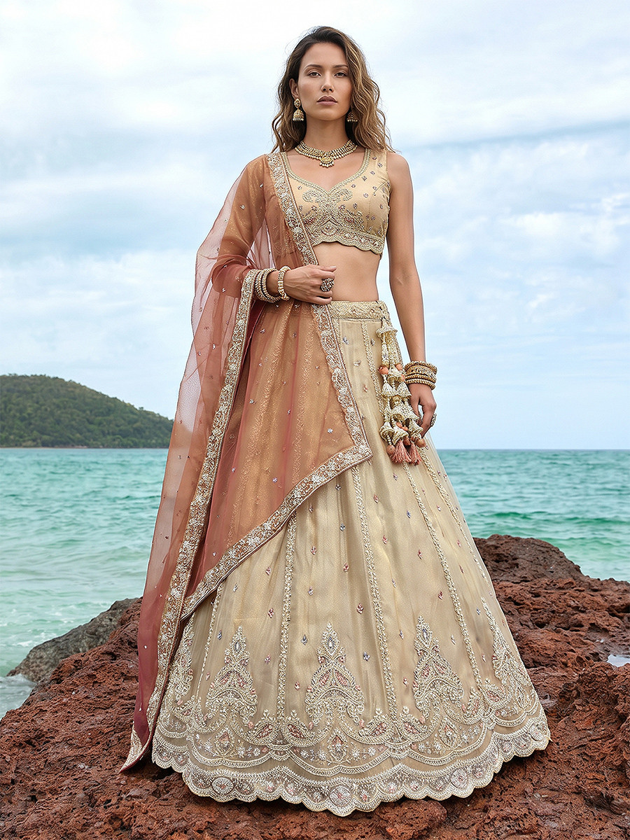 Cream Tissue Embroidery Wedding Reception Party Festival Heavy Border Lehenga Choli