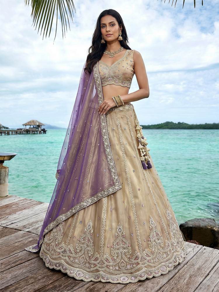 Image of Cream Tissue Embroidery Wedding Reception Party Festival Heavy Border Lehenga Choli