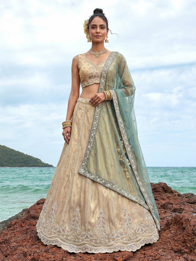 Image of Cream Tissue Embroidery Zari Sequins Wedding Reception Party Wear Festival Heavy Border Lehenga Choli