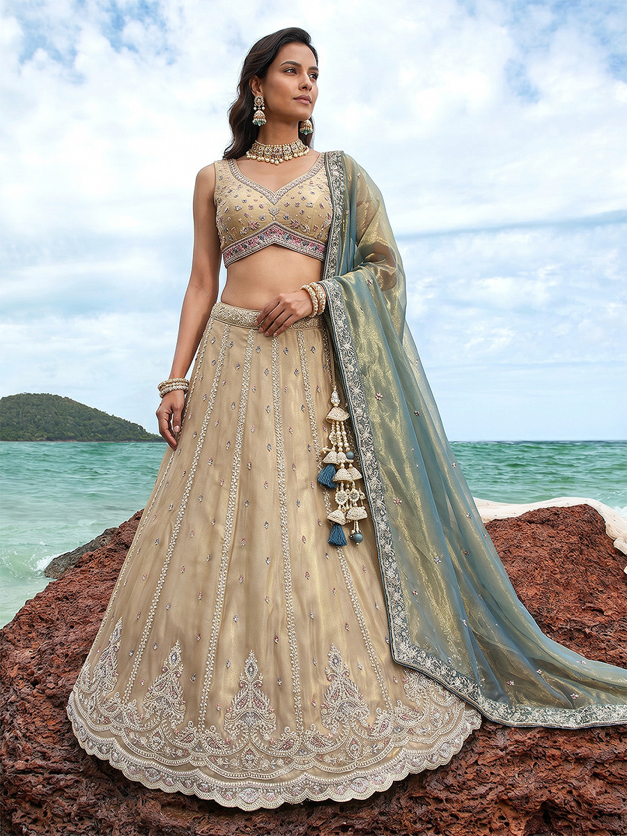 Cream Tissue Embroidery Zari Sequins Wedding Reception Party Wear Festival Heavy Border Lehenga Choli