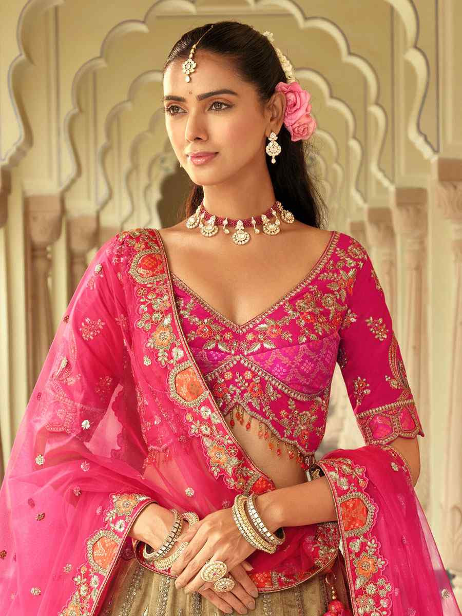 Dark Cream Heavy Pure Silk Embroidered Wedding Reception Festival Heavy Border Lehenga Choli