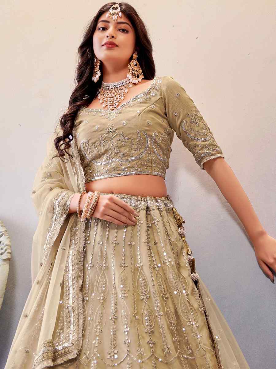 Dark Cream Premium Butterfly Net Embroidered Festival Wedding Heavy Border Lehenga Choli