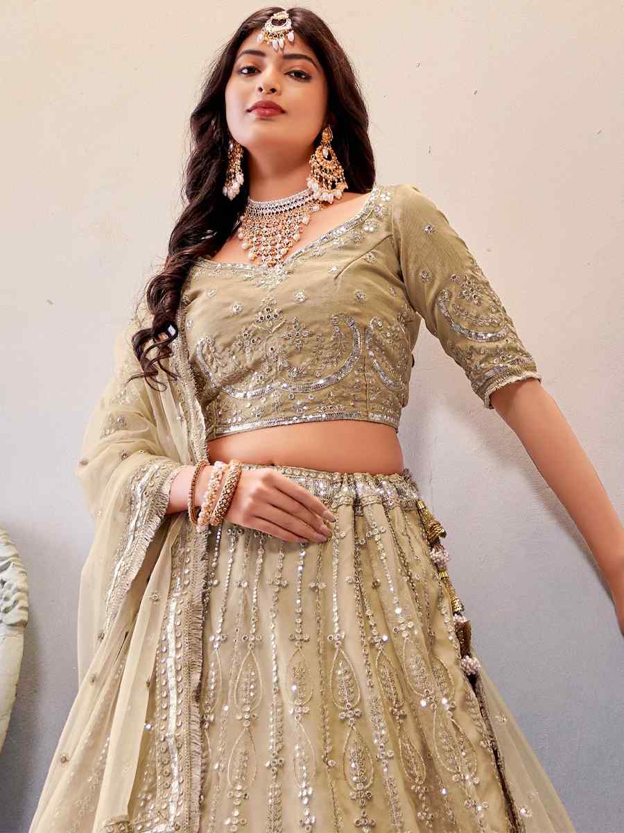 Dark Cream Premium Butterfly Net Embroidered Festival Wedding Heavy Border Lehenga Choli