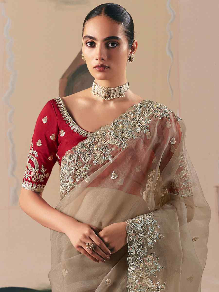 Dark Cream Premium Fancy Silk Embroidery Bridal Reception Festival Wedding Fancy Heavy Border Saree