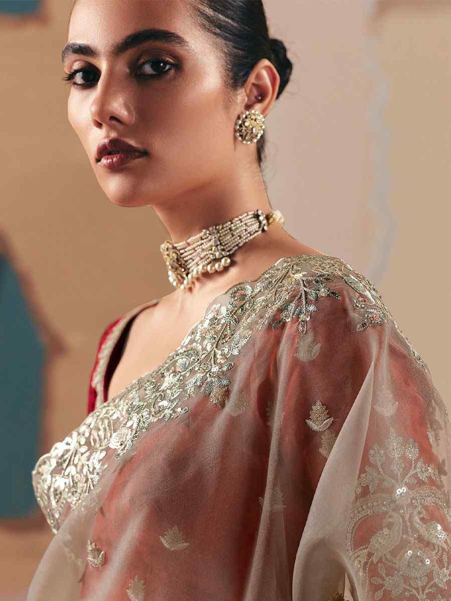 Dark Cream Premium Fancy Silk Embroidery Bridal Reception Festival Wedding Fancy Heavy Border Saree