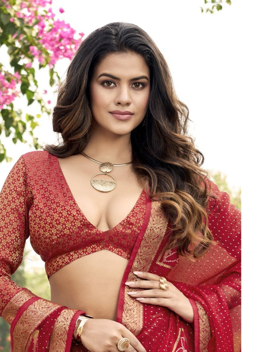 Deep Red Silk Printed Wedding Reception Party Festival Casual Heavy Border Sarees