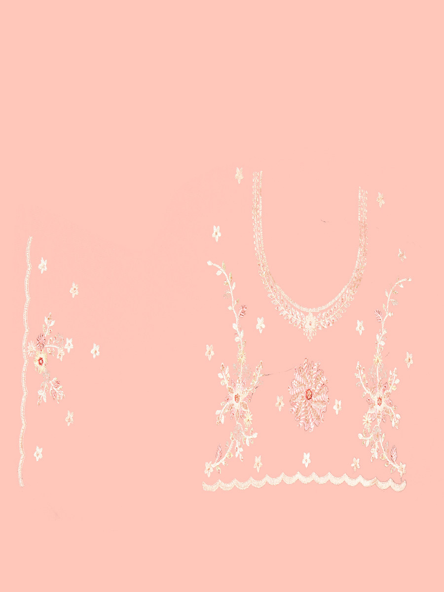 Dusty peach Net Embroidery Zari Wedding Reception Party Festival Casual Heavy Border Sarees