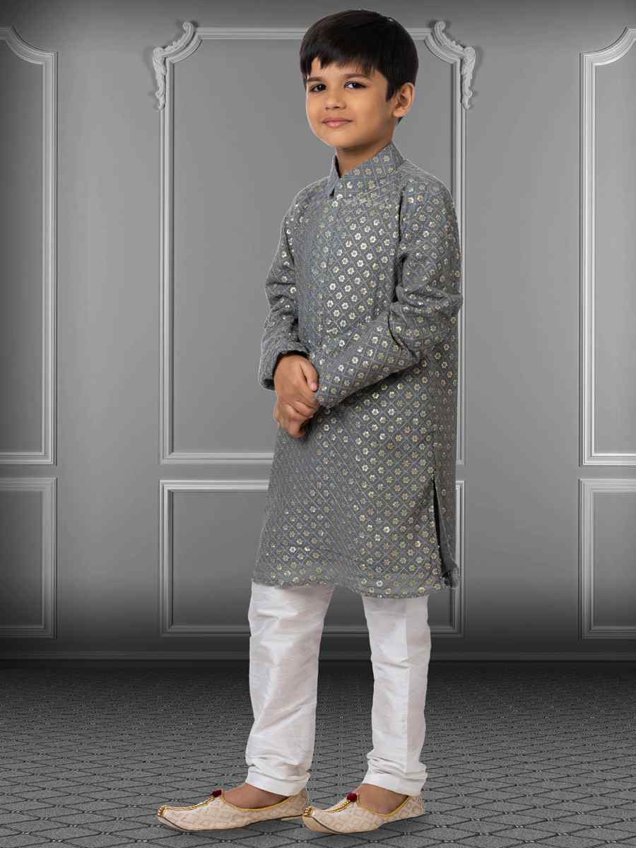 Gray Georgette Embroidered Festival Kurta Pyjama Boys Wear