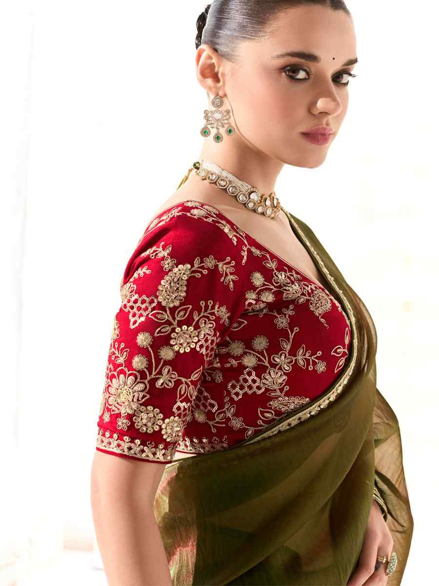 Green Organza Tissue Embroidered Festival Wedding Fancy Heavy Border Saree