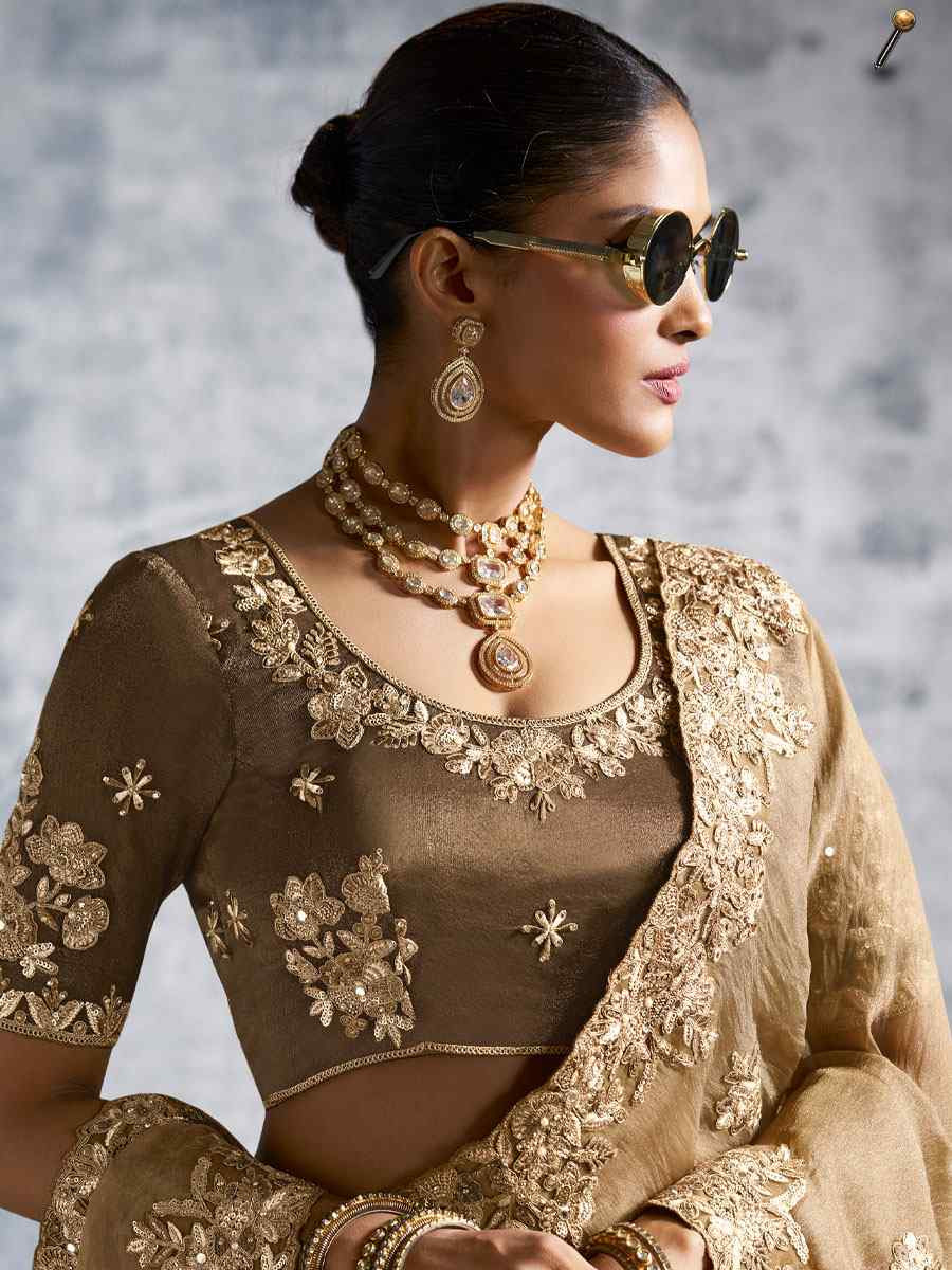 Green Premium Tissue Silk Embroidery Traditional Casual Reception Festival Wedding Fancy Heavy Border Saree