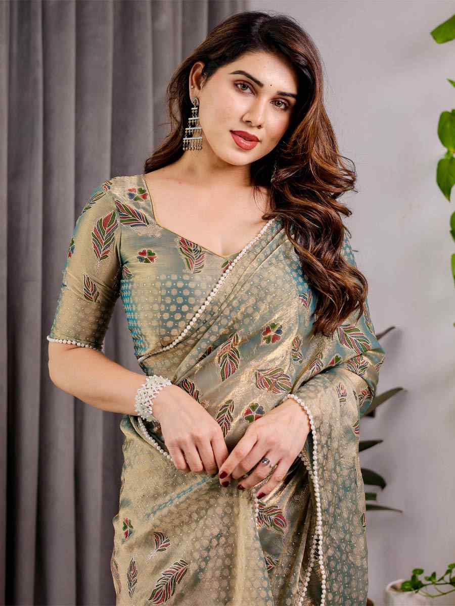Grey Chiffon Printed Festival Wedding Fancy Heavy Border Saree