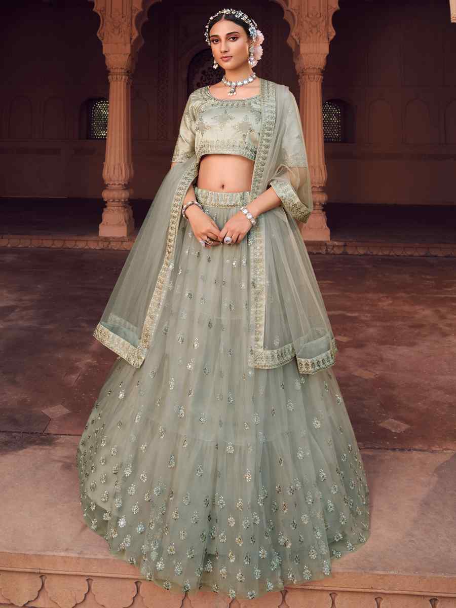 Grey Heavy Net Embroidered Wedding Festival Circular Lehenga Choli
