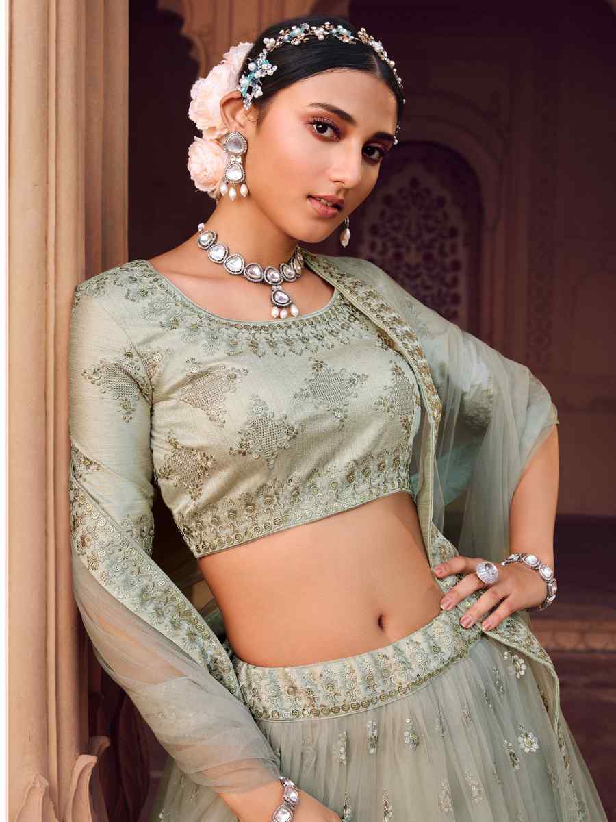 Grey Heavy Net Embroidered Wedding Festival Circular Lehenga Choli