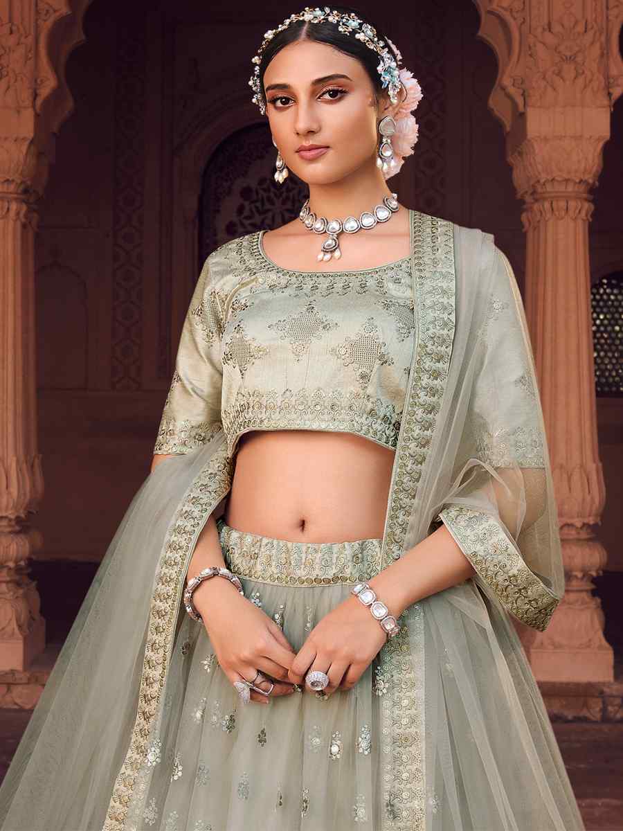 Grey Heavy Net Embroidered Wedding Festival Circular Lehenga Choli