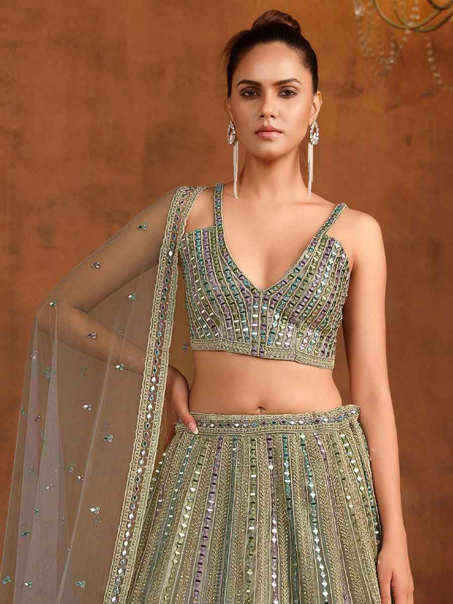 Grey Heavy Net With Banglory Silk Inner Embroidered Printed Wedding Reception Festival Heavy Border Lehenga Choli