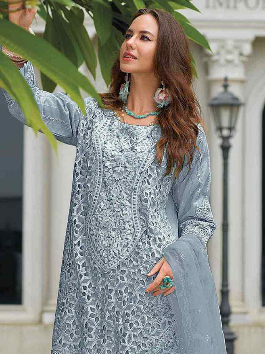 Grey Naylon Organza Embroidered Festival Wedding Pant Salwar Kameez