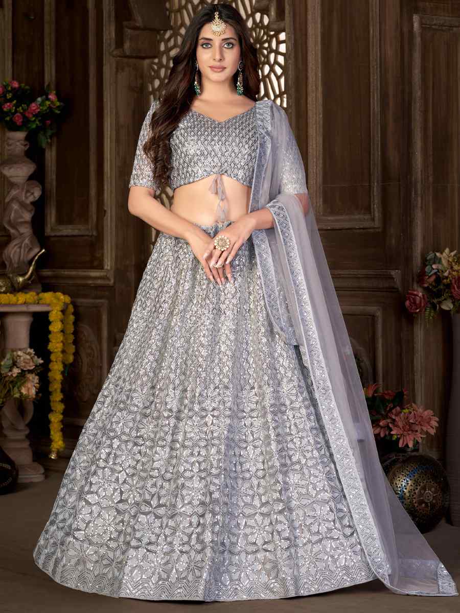 Grey Net Embroidered Festival Party Wear Heavy Border Lehenga Choli