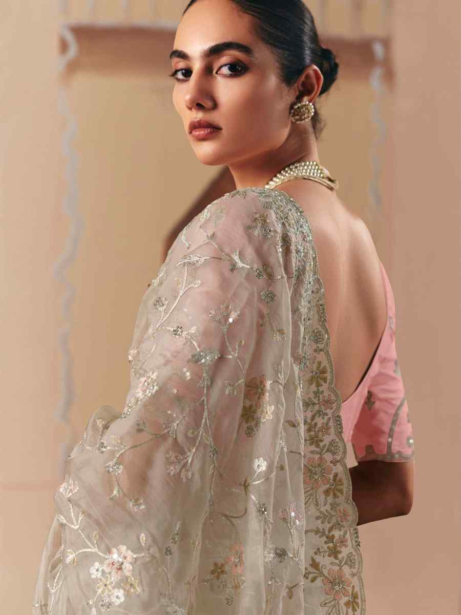 Grey Organza Embroidery Zari Bridal Reception Festival Wedding Fancy Heavy Border Saree