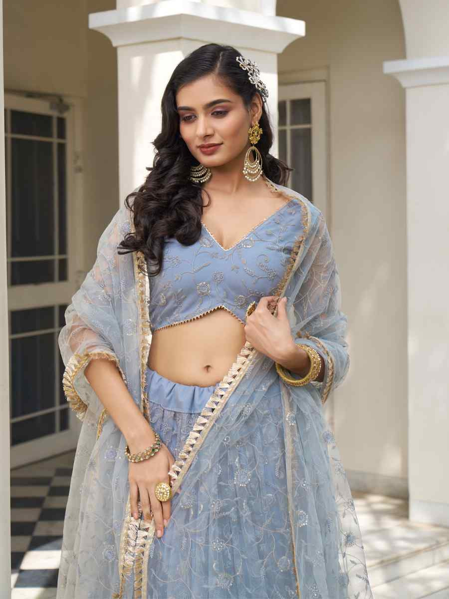 Light Blue Gray Net Embroidered Wedding Reception Festival Heavy Border Lehenga Choli