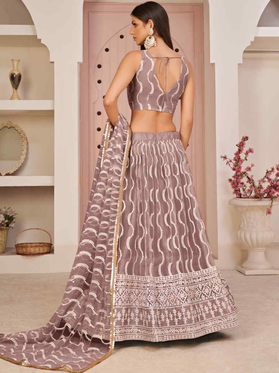 Light Brown Butterfly Net Embroidered Festival Wedding Heavy Border Lehenga Choli