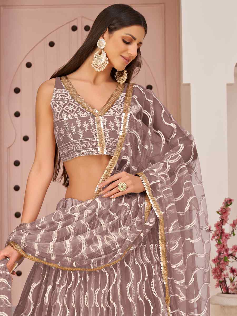 Light Brown Butterfly Net Embroidered Festival Wedding Heavy Border Lehenga Choli