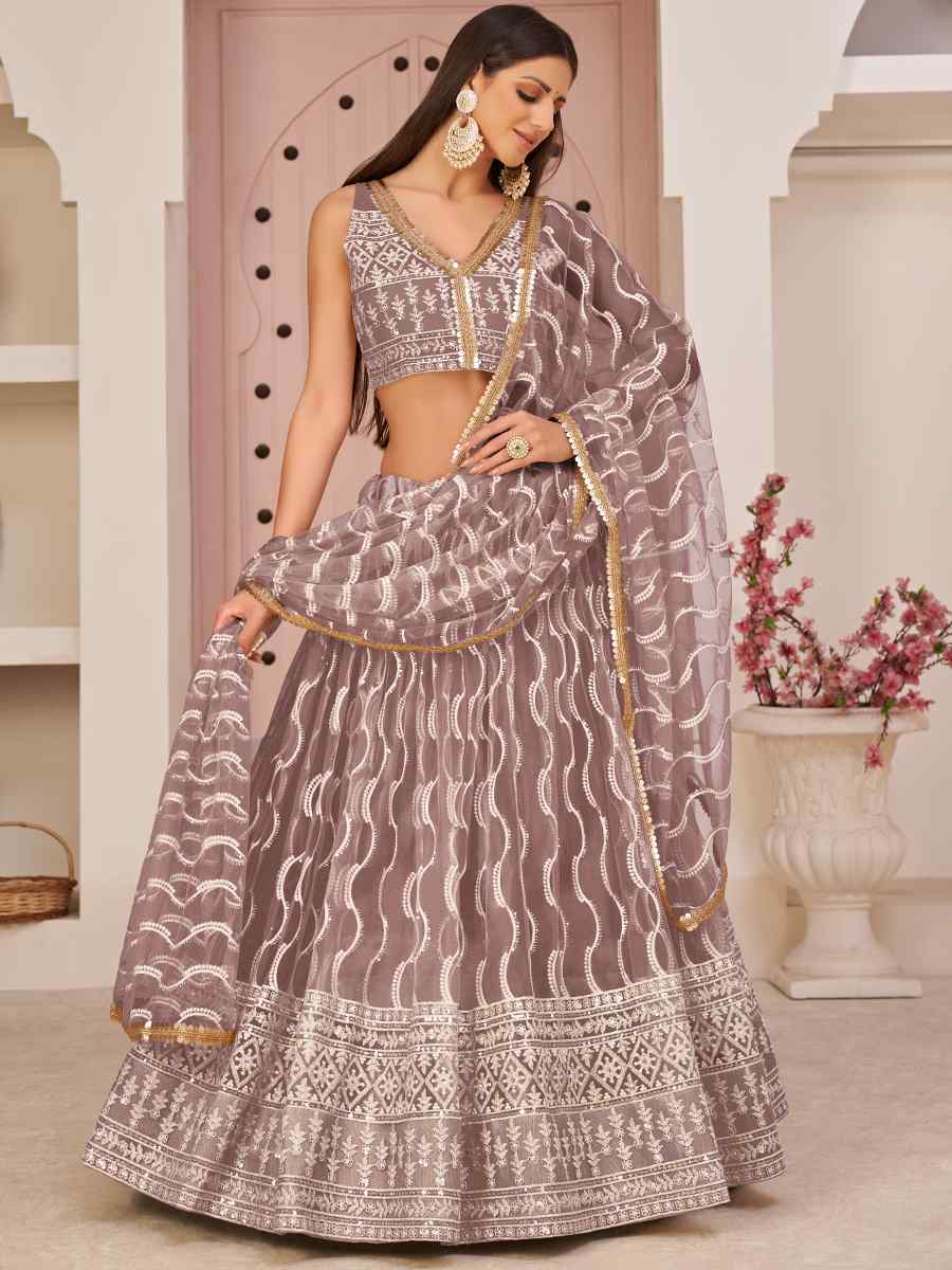 Light Brown Butterfly Net Embroidered Festival Wedding Heavy Border Lehenga Choli