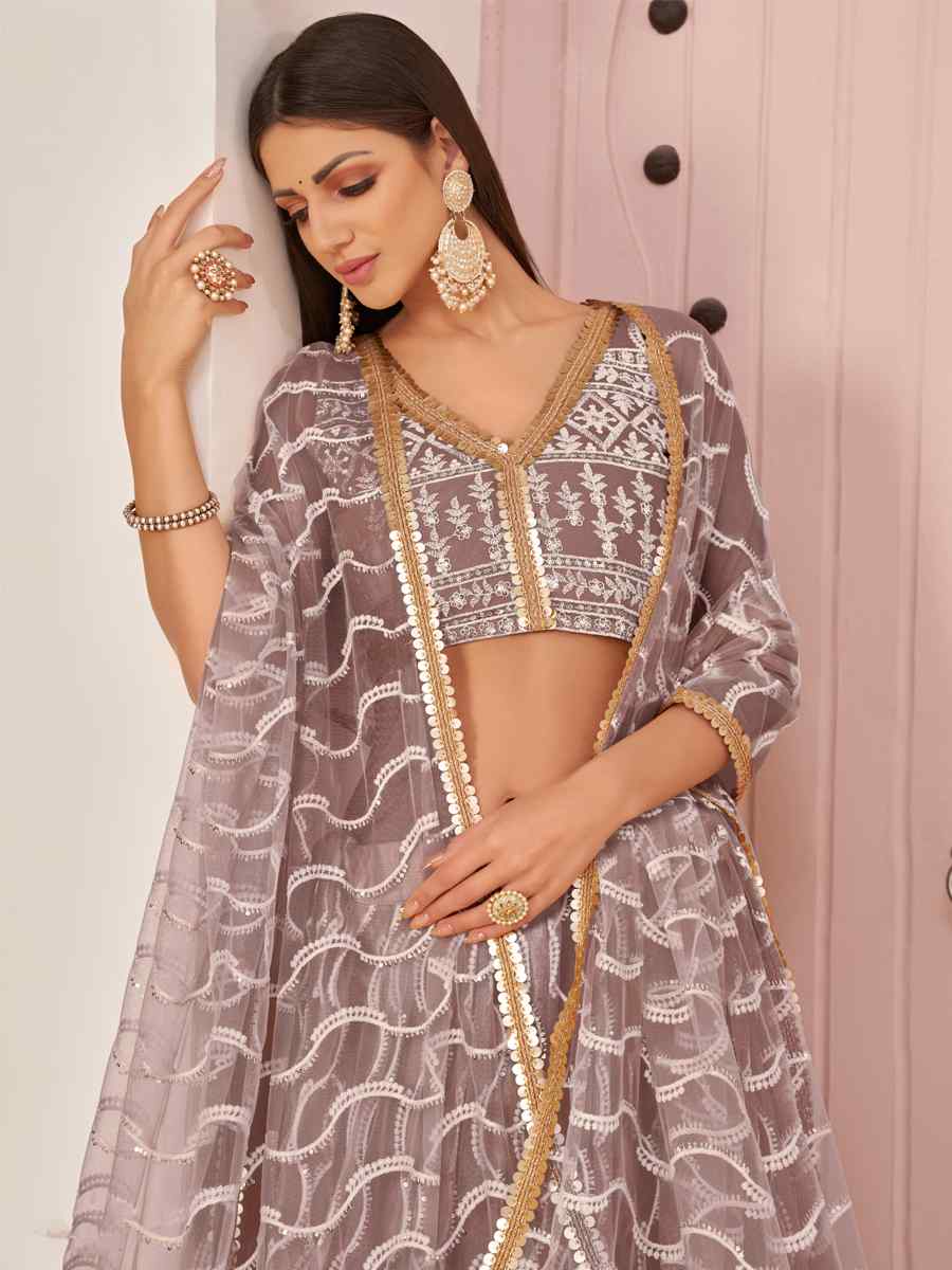 Light Brown Butterfly Net Embroidered Festival Wedding Heavy Border Lehenga Choli